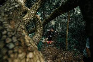 BIB: 
                            <button type="button" onclick="openModal(25704525)" class="btn btn-primary btn-sm float-right btn-popup" data-toggle="modal" data-target=".modal-high-quality">
                        <i class="fas fa-shopping-cart"></i> Add to Cart
                    </button>
                                            <button type="button" onclick="isThisMe(25704525, true)" class="btn btn-success btn-sm float-right btn-popup btn-isme hidden" data-toggle="tooltip" data-placement="bottom" title="นี่คือรูปของคุณใช่ไหม คลิกที่นี่เพื่อเอาเข้าอัลบั้ม">
                        <i class="fas fa-plus"></i> Add to album
                    </button>
                    <button type="button" onclick="isThisMe(25704525, false)" class="btn btn-warning btn-sm float-right btn-popup btn-isnotme hidden">
                        <i class="fas fa-ban"></i> Remove from album
                    </button>